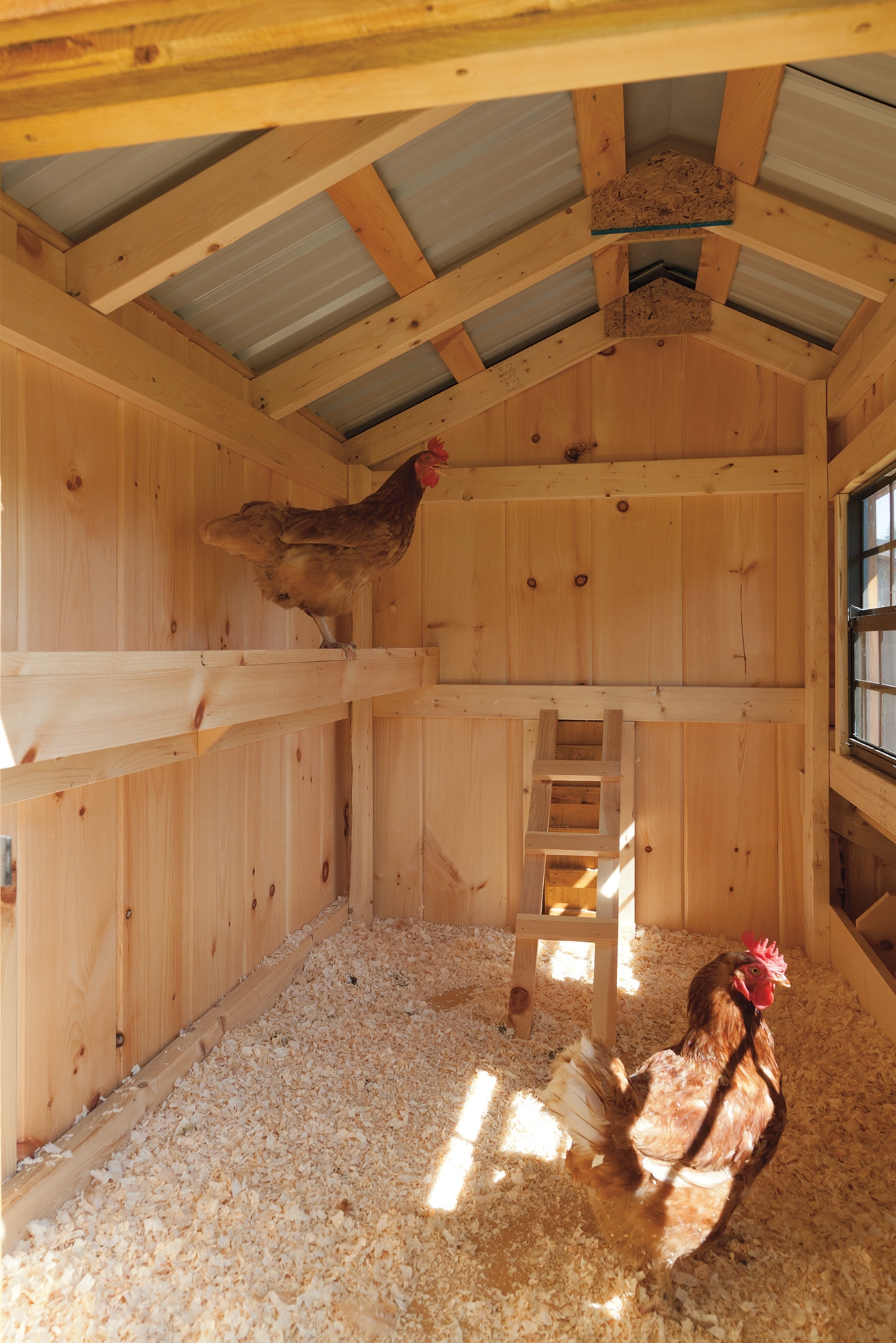 Chicken Coops, Small Animal Shelters | Page 1 | Sunset Barns